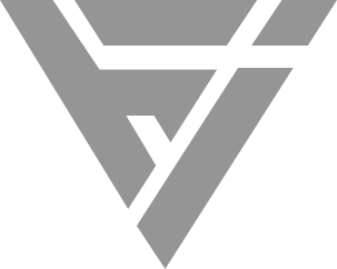 Your Vision, Our Velocity